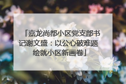 嘉龙尚都小区党支部书记谢文盛：以公心破难题 绘就小区新画卷