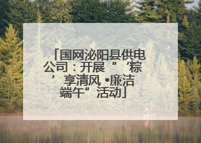 国网泌阳县供电公司：开展“‘粽’享清风 •廉洁端午”活动