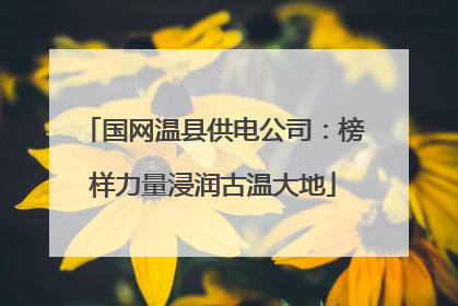 国网温县供电公司：榜样力量浸润古温大地