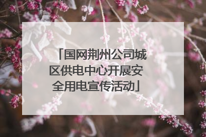 国网荆州公司城区供电中心开展安全用电宣传活动