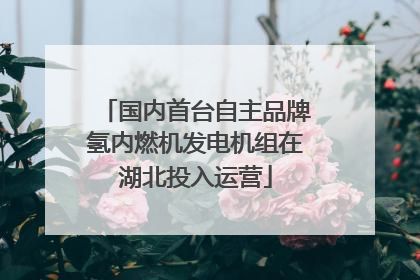 国内首台自主品牌氢内燃机发电机组在湖北投入运营