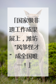 国家级非遗工作成果展上，潍坊“风筝怪才”成全国唯一！
