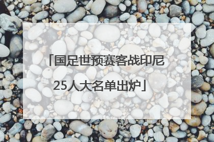 国足世预赛客战印尼25人大名单出炉