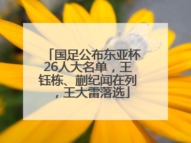 国足公布东亚杯26人大名单，王钰栋、蒯纪闻在列，王大雷落选