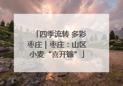 四季流转 多彩枣庄｜枣庄：山区小麦“喜开镰”