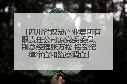 四川省煤炭产业集团有限责任公司原党委委员、副总经理张万松 接受纪律审查和监察调查