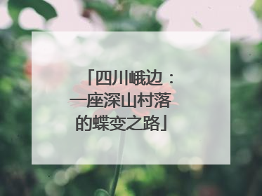 四川峨边：一座深山村落的蝶变之路