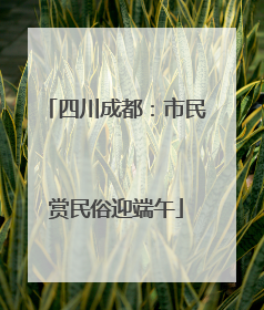 四川成都：市民赏民俗迎端午