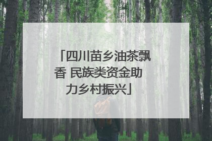四川苗乡油茶飘香 民族类资金助力乡村振兴