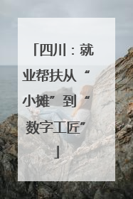 四川：就业帮扶从“小摊”到“数字工匠”