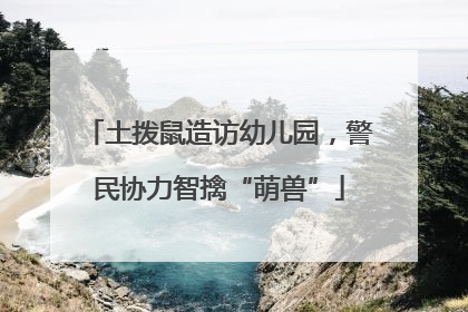 土拨鼠造访幼儿园，警民协力智擒“萌兽”