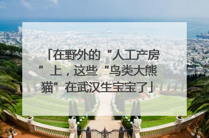 在野外的“人工产房”上，这些“鸟类大熊猫”在武汉生宝宝了