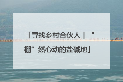 寻找乡村合伙人｜“棚”然心动的盐碱地