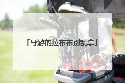 导游的拉布布别乱拿