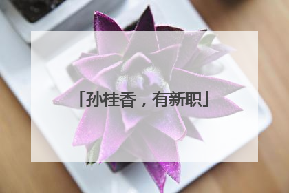 孙桂香，有新职