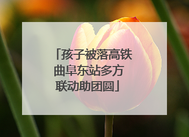 孩子被落高铁 曲阜东站多方联动助团圆