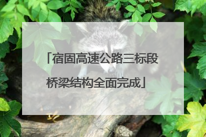 宿固高速公路三标段桥梁结构全面完成