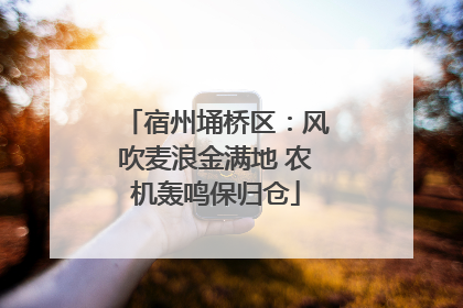 宿州埇桥区：风吹麦浪金满地 农机轰鸣保归仓