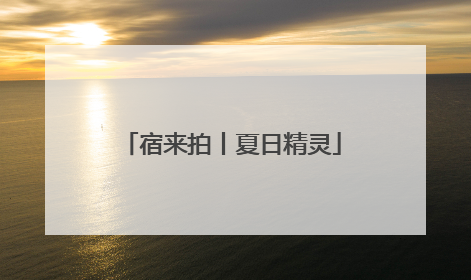 宿来拍丨夏日精灵