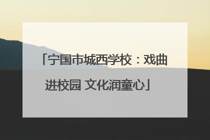 宁国市城西学校：戏曲进校园 文化润童心