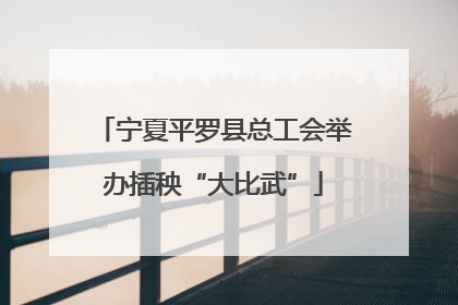 宁夏平罗县总工会举办插秧“大比武”