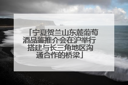 宁夏贺兰山东麓葡萄酒品鉴推介会在沪举行 搭建与长三角地区沟通合作的桥梁