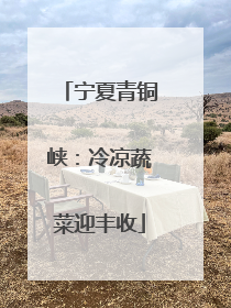 宁夏青铜峡：冷凉蔬菜迎丰收