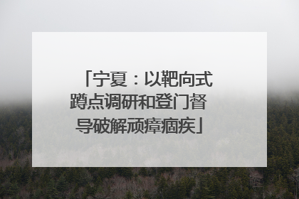 宁夏：以靶向式蹲点调研和登门督导破解顽瘴痼疾