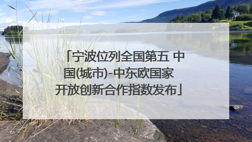 宁波位列全国第五 中国(城市)-中东欧国家开放创新合作指数发布
