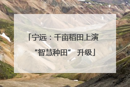 宁远：千亩稻田上演 “智慧种田” 升级