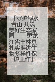 守护绿水青山 共筑美好生态家园——黑龙江省丰林县扎实推进生物多样性保护工作