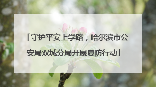 守护平安上学路，哈尔滨市公安局双城分局开展夏防行动