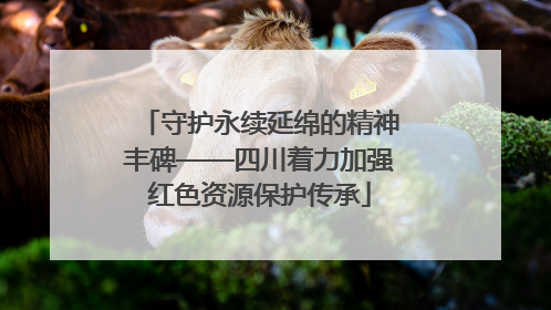 守护永续延绵的精神丰碑——四川着力加强红色资源保护传承