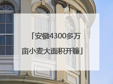 安徽4300多万亩小麦大面积开镰