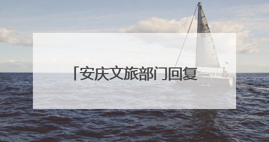 安庆文旅部门回复网民：推动打造“黄鹄号”长江游轮