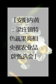 安阳内黄：梁庄镇特色蔬果亮相央视农业品牌甄选会