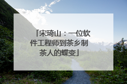 宋琦山：一位软件工程师到茶乡制茶人的蝶变