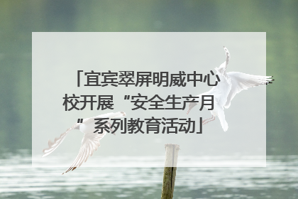 宜宾翠屏明威中心校开展“安全生产月”系列教育活动