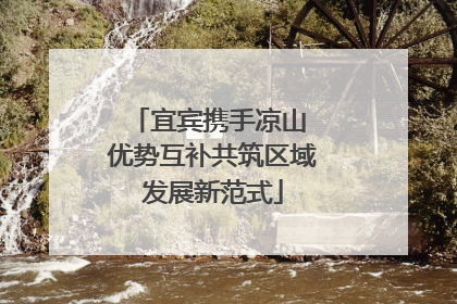 宜宾携手凉山 优势互补共筑区域发展新范式