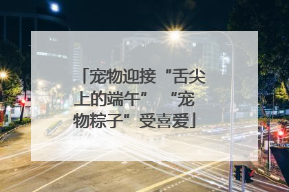 宠物迎接“舌尖上的端午” “宠物粽子”受喜爱