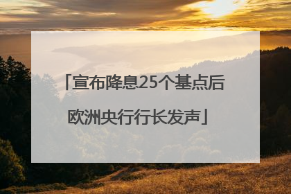 宣布降息25个基点后 欧洲央行行长发声