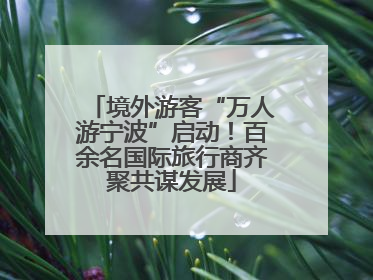 境外游客“万人游宁波”启动！百余名国际旅行商齐聚共谋发展