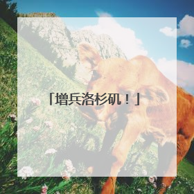 增兵洛杉矶！