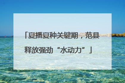夏播夏种关键期，范县释放强劲“水动力”