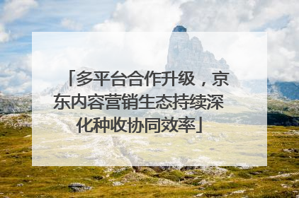多平台合作升级，京东内容营销生态持续深化种收协同效率