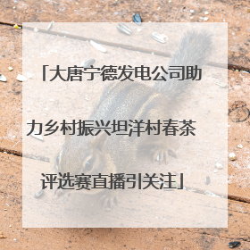 大唐宁德发电公司助力乡村振兴坦洋村春茶评选赛直播引关注