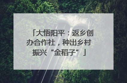 大悟阳平：返乡创办合作社，种出乡村振兴“金稻子”