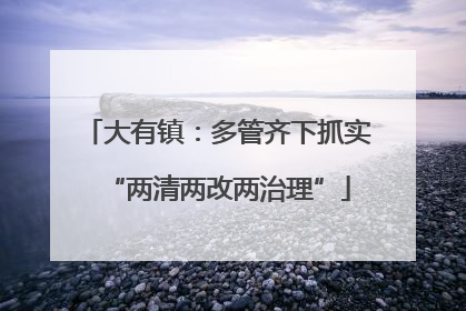 大有镇：多管齐下抓实“两清两改两治理”