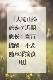 大蜀山捡蘑菇？近期疯长！官方提醒：不要随意采摘食用