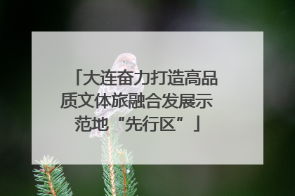 大连奋力打造高品质文体旅融合发展示范地“先行区”